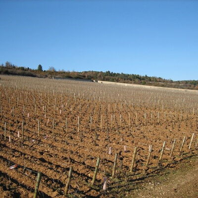 Domaine Vincent Dancer 02