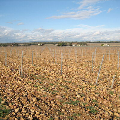 Mas de Boislauzon 03