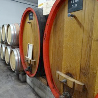 Mas de Boislauzon 04