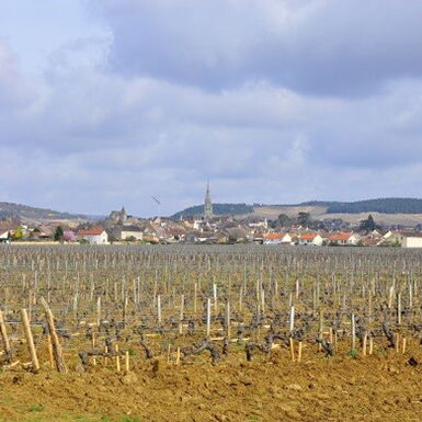 Domaine Buisson-Battault 01