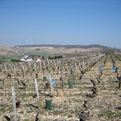Domaine Gérard Boulay 02