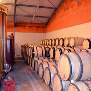 Domaine Masse Père et Fils 02