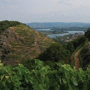 Eric & Joël Durand 02