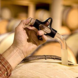 Domaine Didier & Denis Larue 02