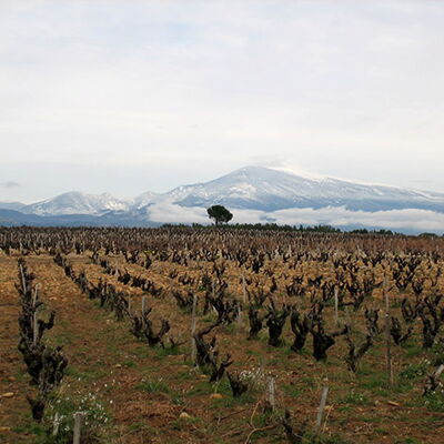 Mas de Boislauzon 01