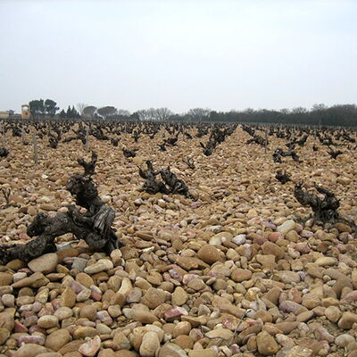 Domaine Grand Veneur 01