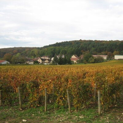 Domaine Hervé Murat 02