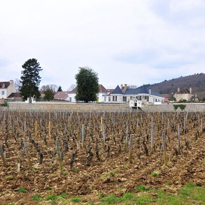 Domaine des Tilleuls 05